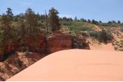 Photo: Coral Pink Sand Dunes State Park