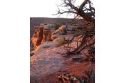 Photo of DEAD HORSE POINT STATE PARK - MOENKOPI YURTS